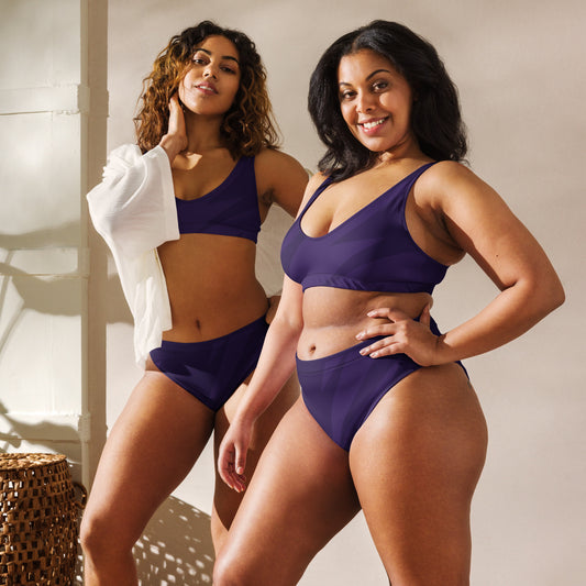 Bikini femenino en colores violeta y negro.