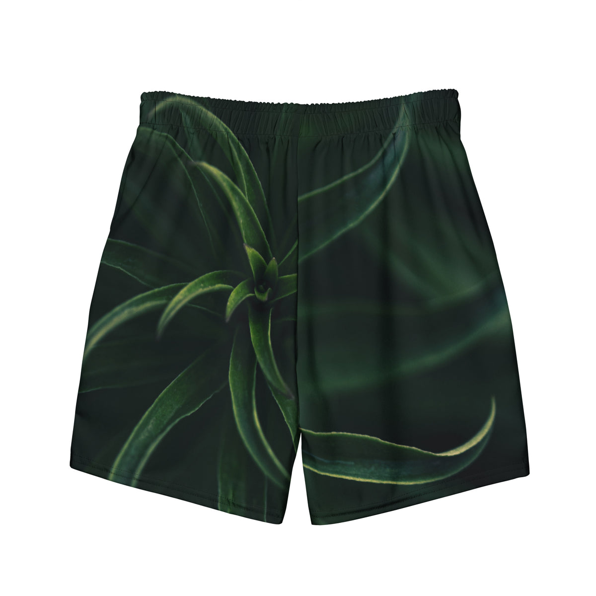 Vista frontal del bañador negro y verde para hombre.