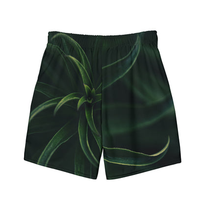 Vista frontal del bañador negro y verde para hombre.