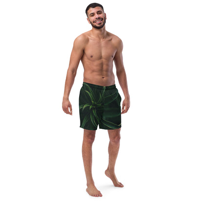 Traje de baño masculino en colores negro y verde.